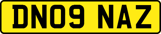 DN09NAZ