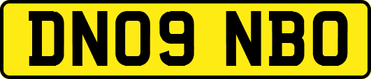 DN09NBO