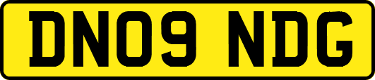 DN09NDG