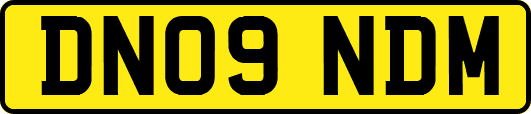 DN09NDM