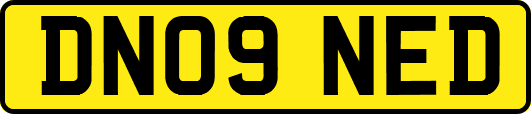 DN09NED
