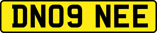 DN09NEE