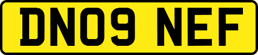 DN09NEF