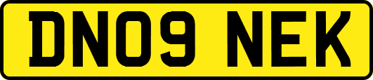 DN09NEK