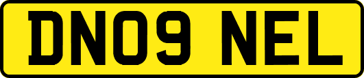 DN09NEL