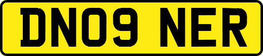 DN09NER