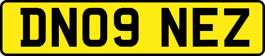 DN09NEZ