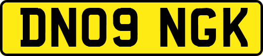 DN09NGK