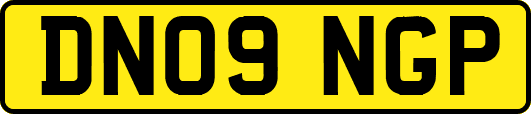DN09NGP