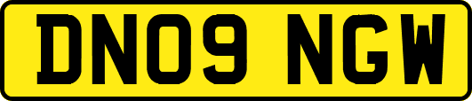 DN09NGW