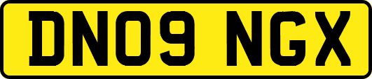 DN09NGX