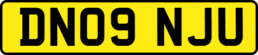 DN09NJU