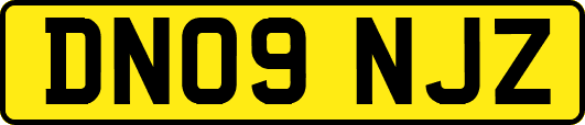 DN09NJZ