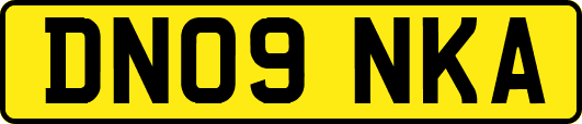DN09NKA