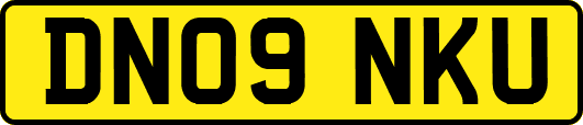 DN09NKU