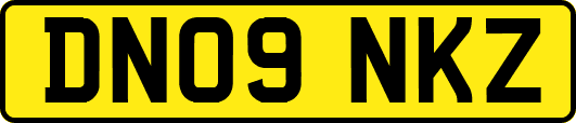 DN09NKZ