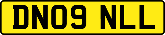 DN09NLL