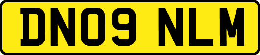 DN09NLM