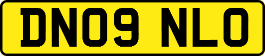 DN09NLO