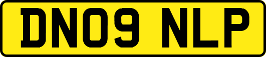 DN09NLP