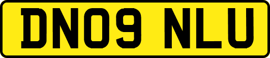 DN09NLU