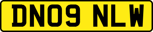 DN09NLW