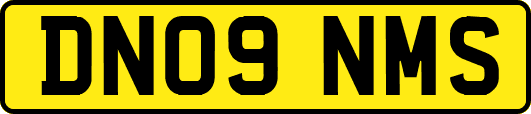 DN09NMS
