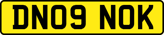 DN09NOK