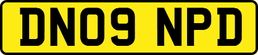 DN09NPD