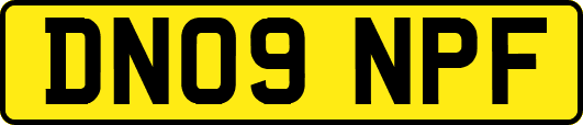 DN09NPF