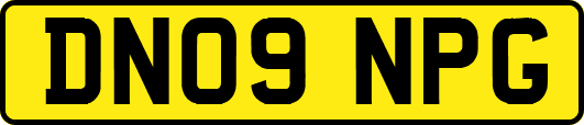 DN09NPG