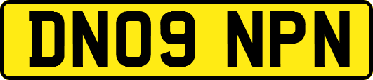 DN09NPN