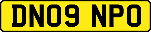 DN09NPO