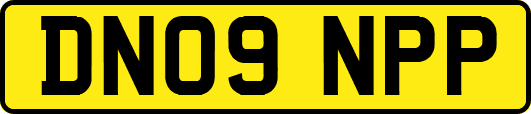 DN09NPP