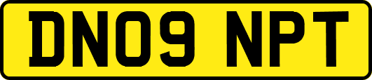 DN09NPT