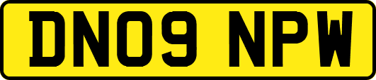 DN09NPW