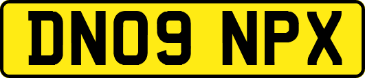 DN09NPX