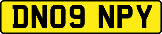 DN09NPY