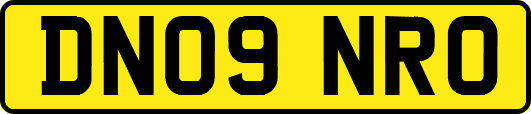 DN09NRO