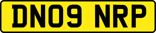 DN09NRP