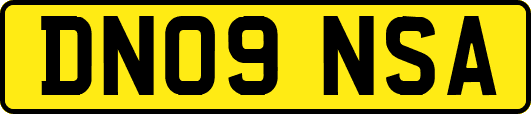 DN09NSA