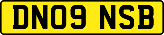 DN09NSB