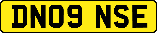 DN09NSE