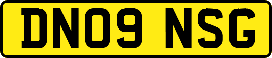 DN09NSG