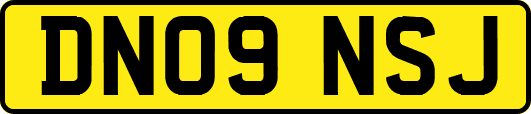 DN09NSJ