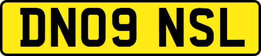 DN09NSL