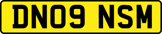 DN09NSM