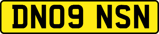 DN09NSN