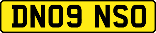 DN09NSO