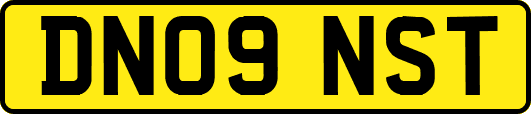 DN09NST